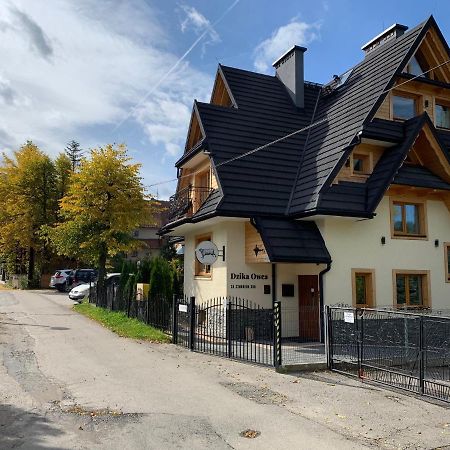 Apartamento Dzika Owca Zakopane Exterior foto