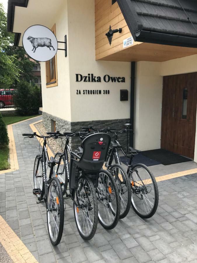 Apartamento Dzika Owca Zakopane Exterior foto